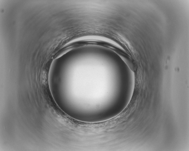 X0000086970025200704161555