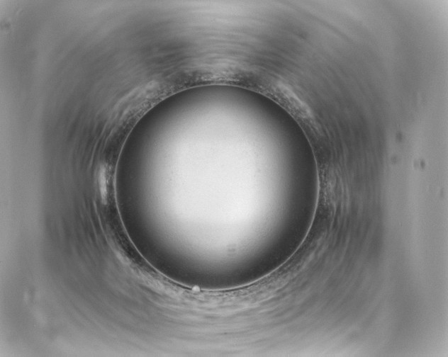 X0000086970026200704161555