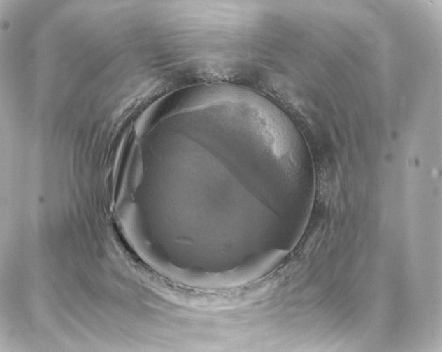 X0000086970027200704161554