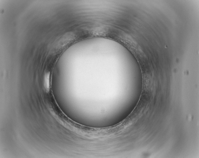 X0000086970028200704161554