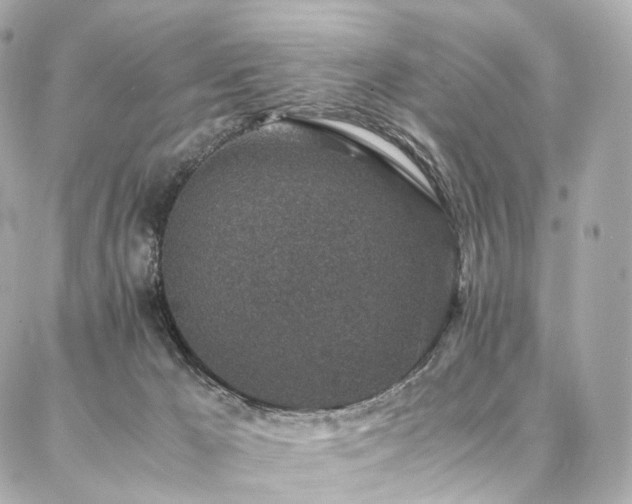 X0000086970029200704161554