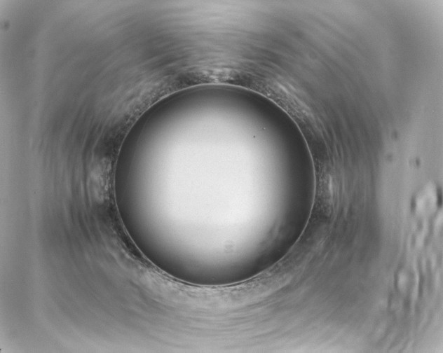 X0000086970030200704161554