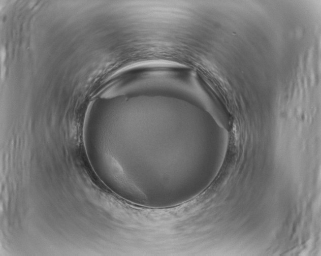 X0000086970031200704161554