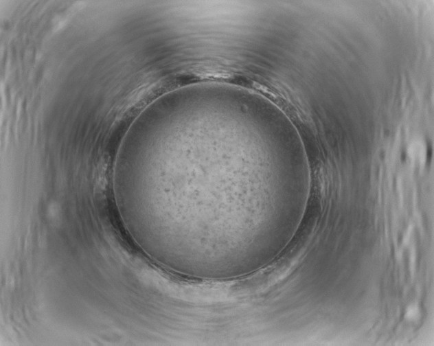 X0000086970032200704161554