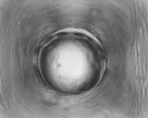 X0000086970033200704161554