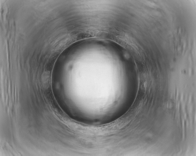 X0000086970034200704161554