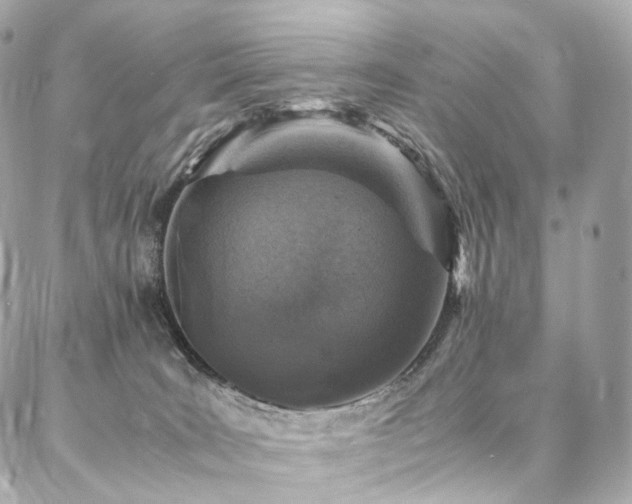 X0000086970035200704161554