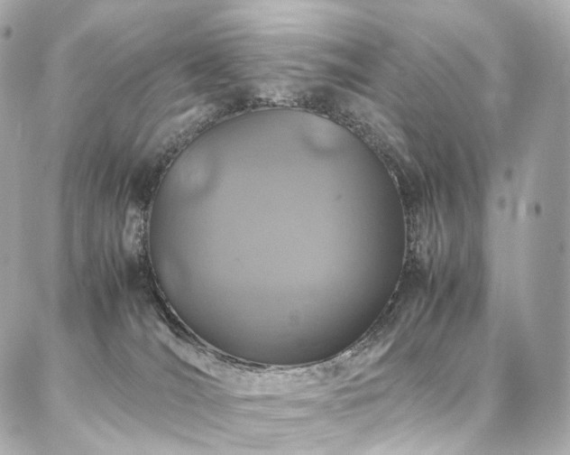 X0000086970036200704161554