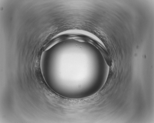 X0000086970037200704161554