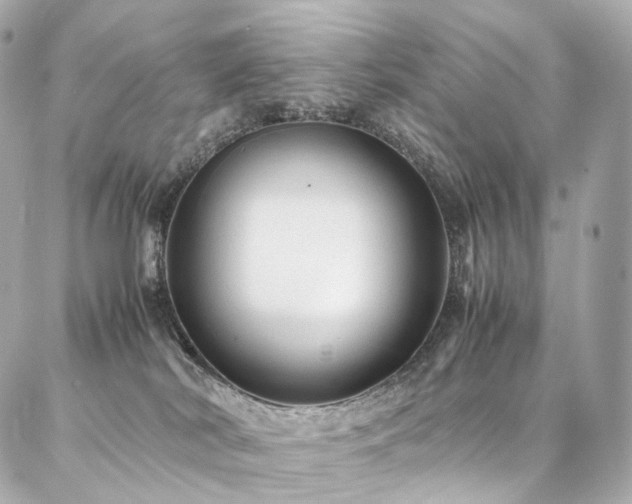 X0000086970038200704161554