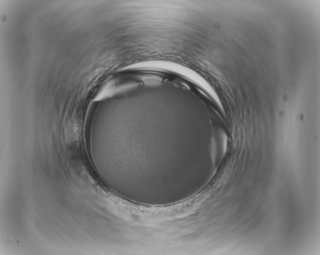 X0000086970039200704161554