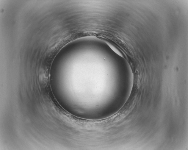 X0000086970040200704161554