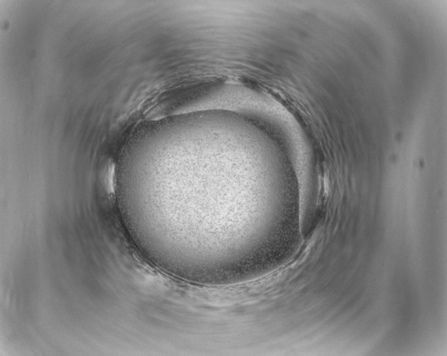 X0000086970041200704161554