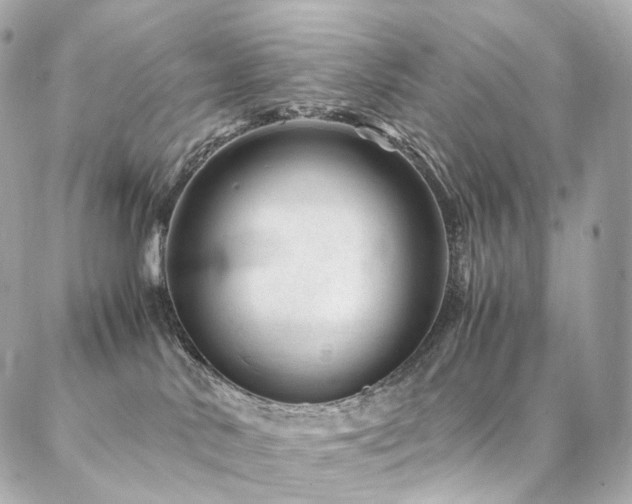 X0000086970042200704161554