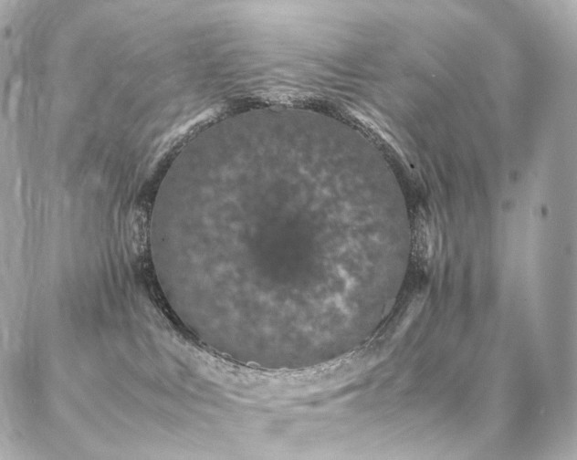 X0000086970043200704161554