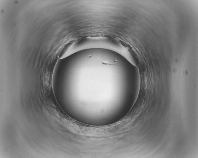 X0000086970044200704161554