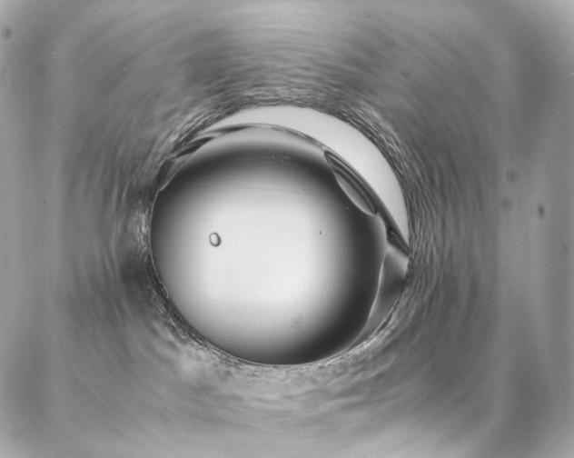 X0000086970045200704161554