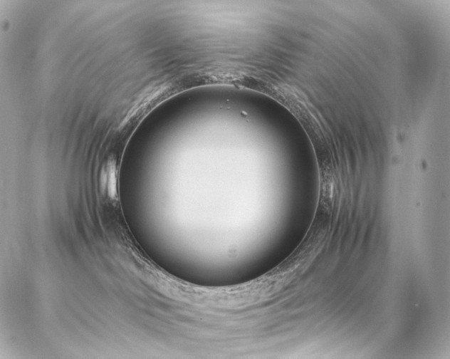 X0000086970046200704161554