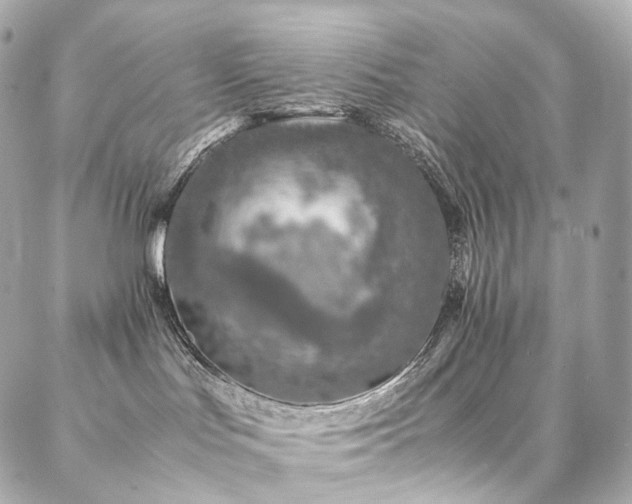 X0000086970047200704161554