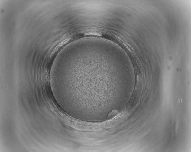 X0000086970048200704161554