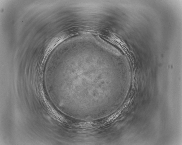 X0000086970049200704161553