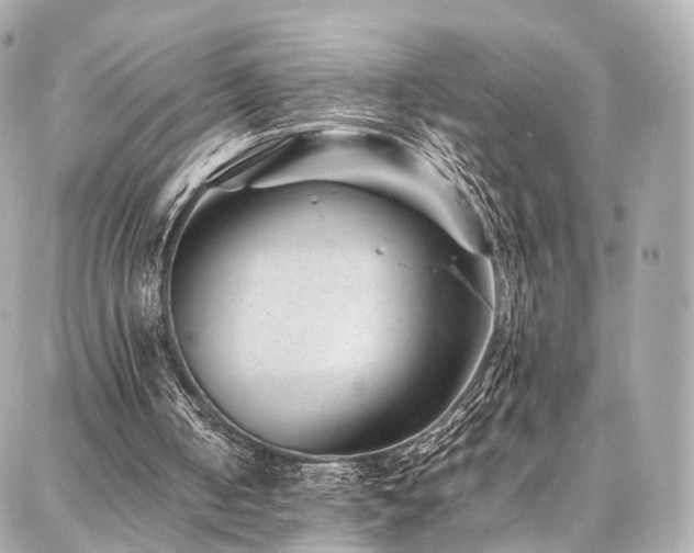 X0000086970050200704161553