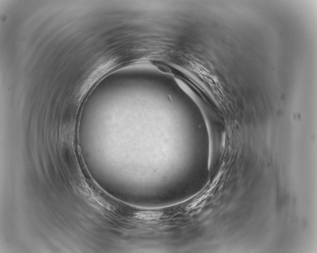 X0000086970051200704161553