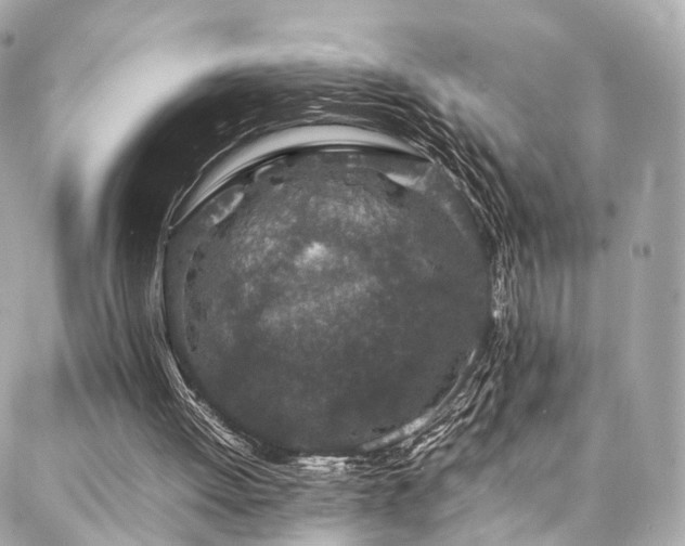 X0000086970052200704161553