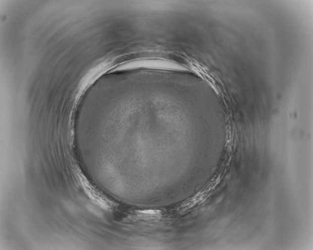 X0000086970053200704161553