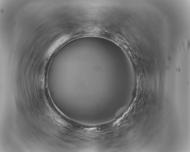 X0000086970054200704161553