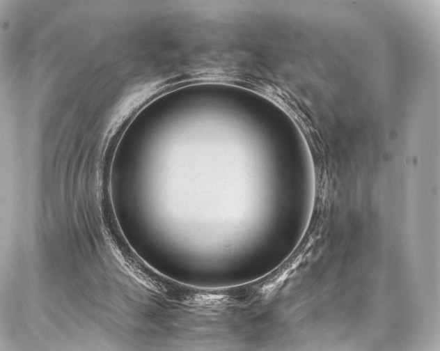 X0000086970055200704161553