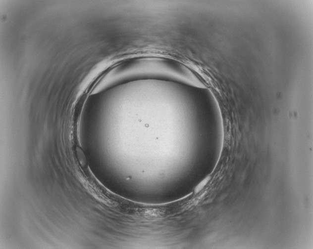 X0000086970056200704161553