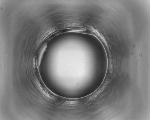 X0000086970057200704161554