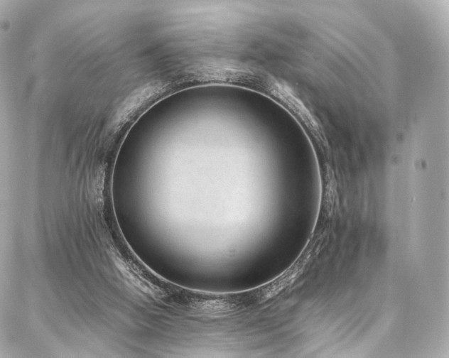 X0000086970058200704161554