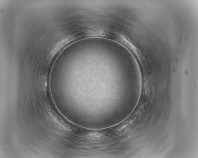 X0000086970059200704161554