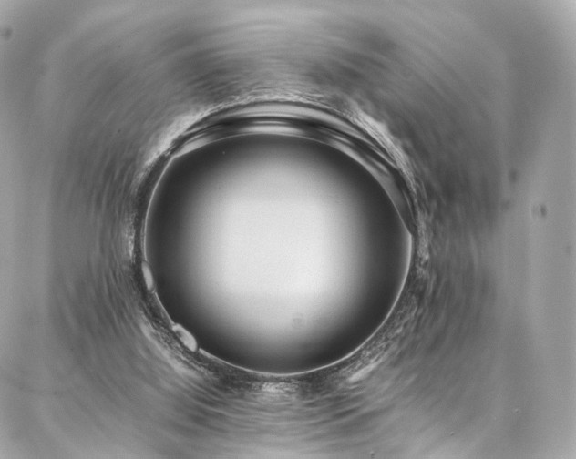 X0000086970060200704161554