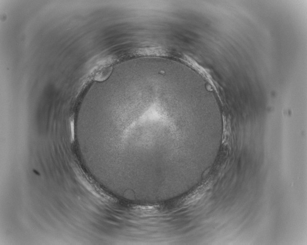 X0000086970061200704161554