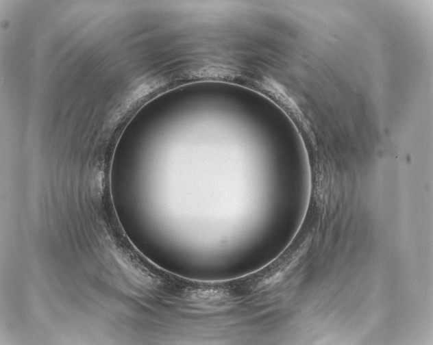 X0000086970063200704161554