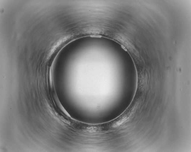 X0000086970064200704161554