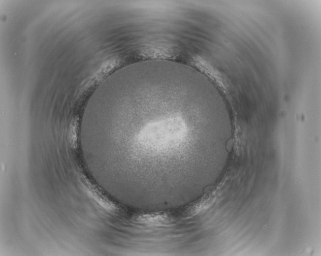 X0000086970065200704161554