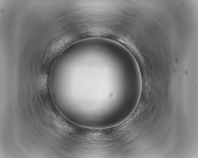 X0000086970066200704161554