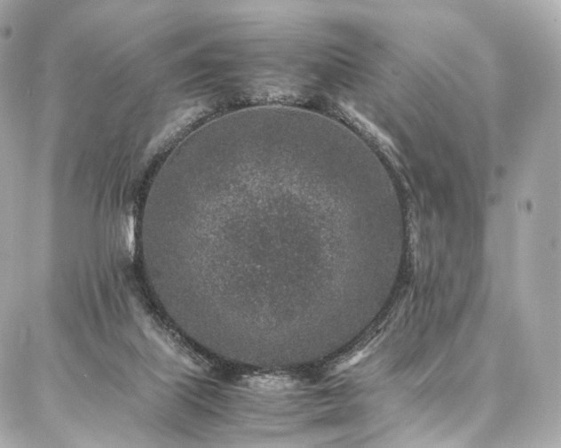 X0000086970067200704161554