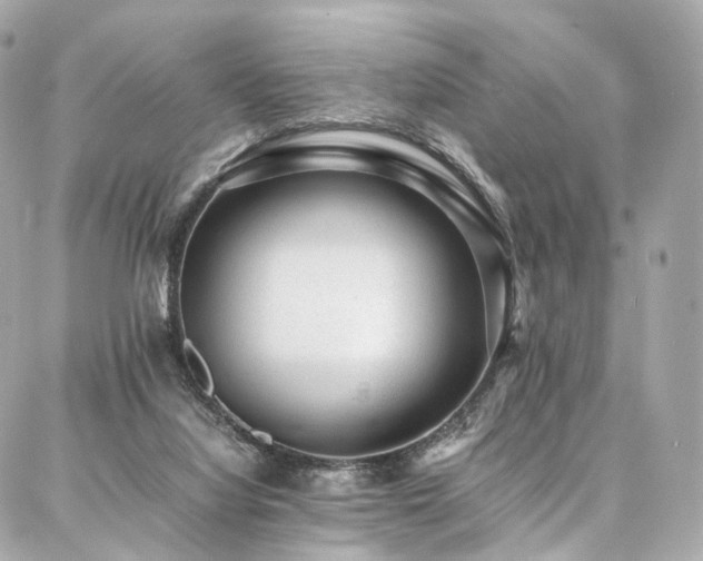 X0000086970068200704161554