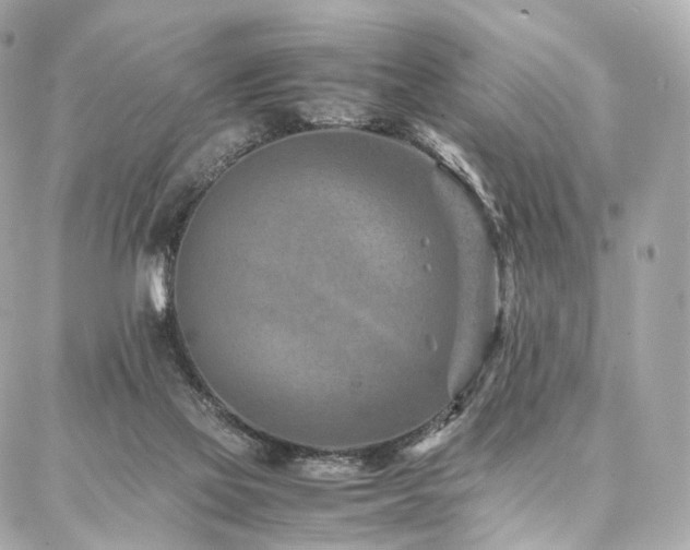 X0000086970069200704161554