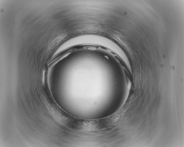 X0000086970070200704161554