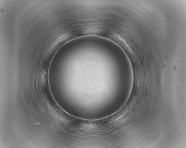 X0000086970071200704161554