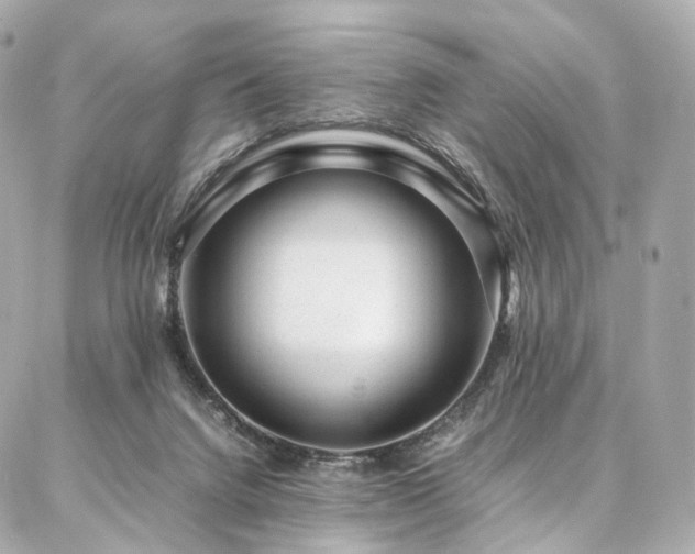 X0000086970072200704161554