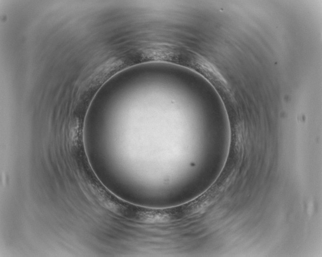 X0000086970073200704161554