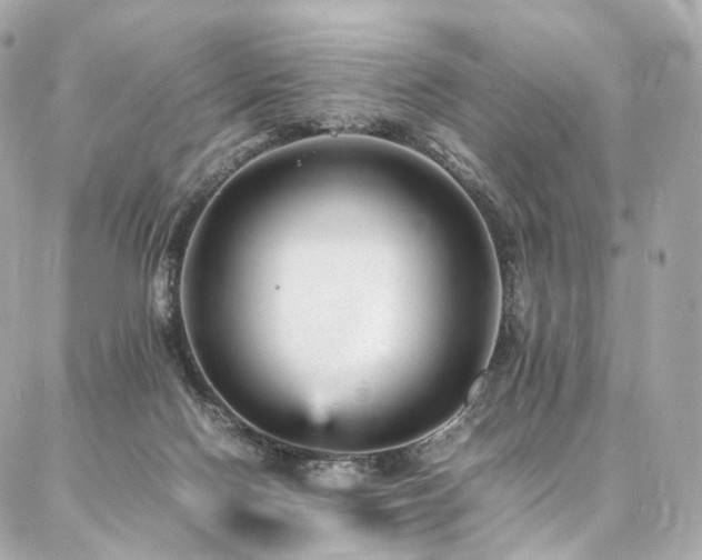 X0000086970074200704161554