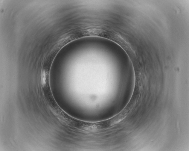 X0000086970075200704161554